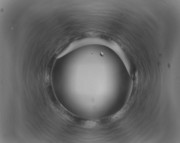 X0000084600176200703091938