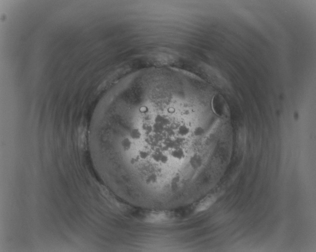 X0000084600177200703091938