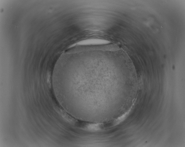 X0000084600178200703091938