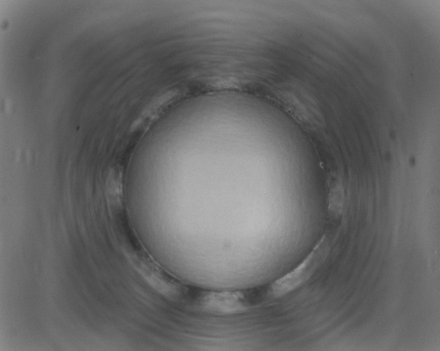 X0000084600179200703091938