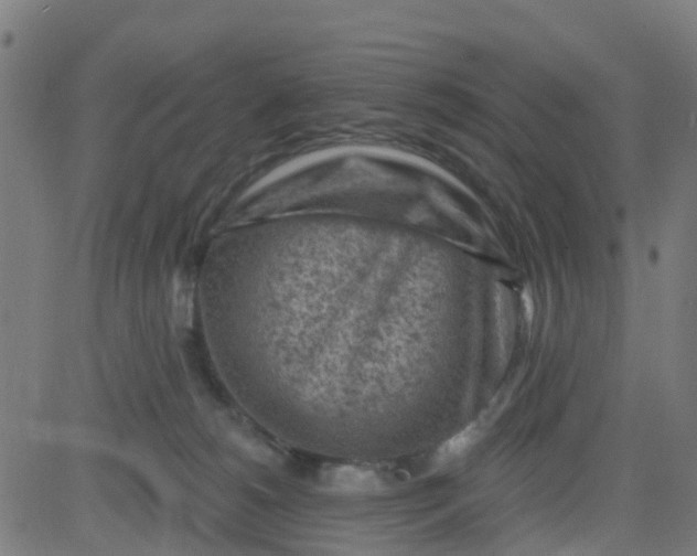 X0000084600180200703091938