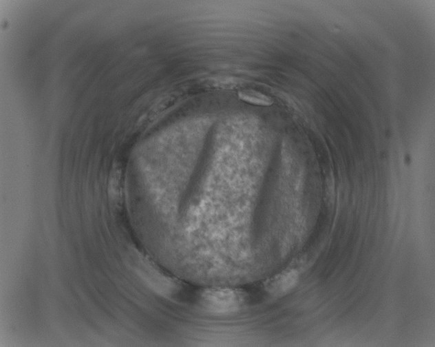 X0000084600181200703091938