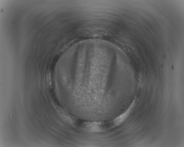 X0000084600182200703091938