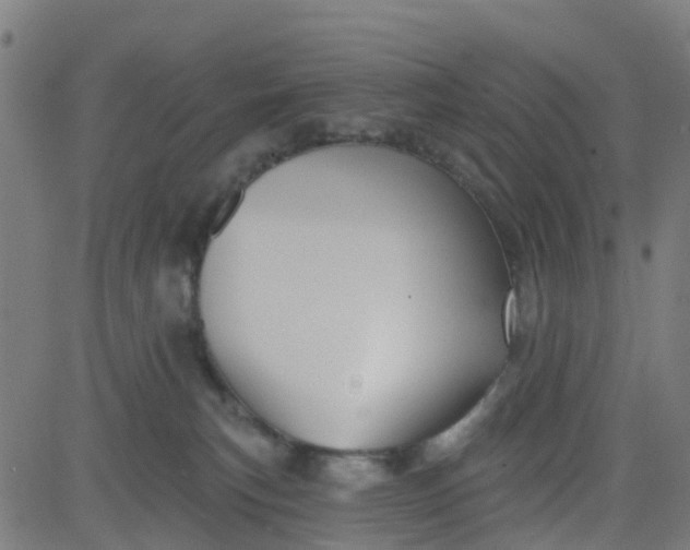 X0000084600183200703091938