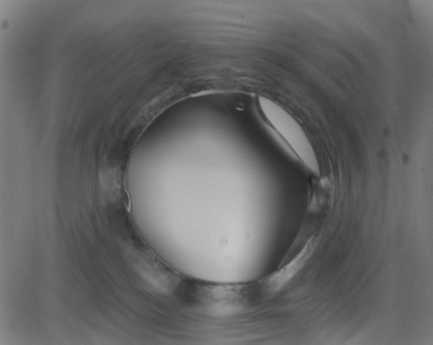 X0000084600184200703091938