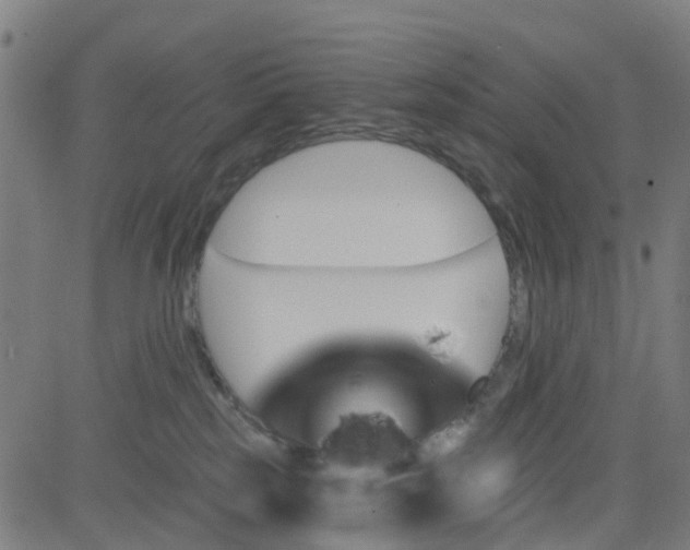 X0000084600185200703091938