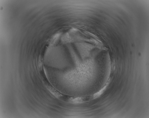 X0000084600186200703091938