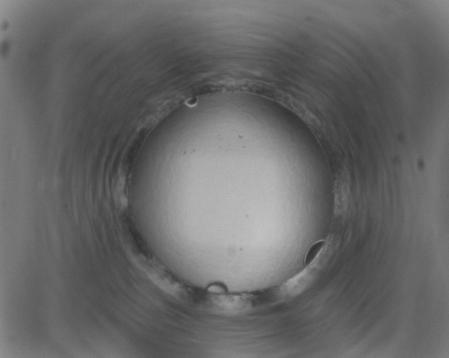 X0000084600187200703091938