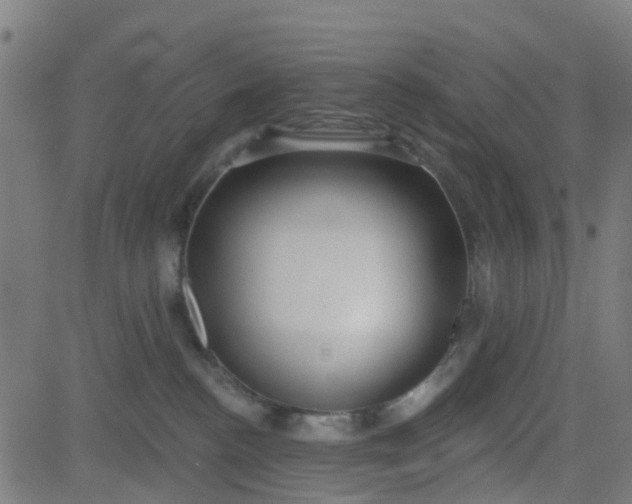 X0000084600188200703091938