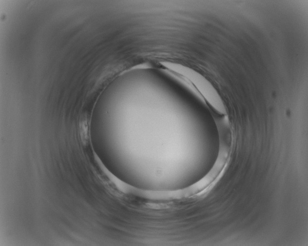 X0000084600190200703091938