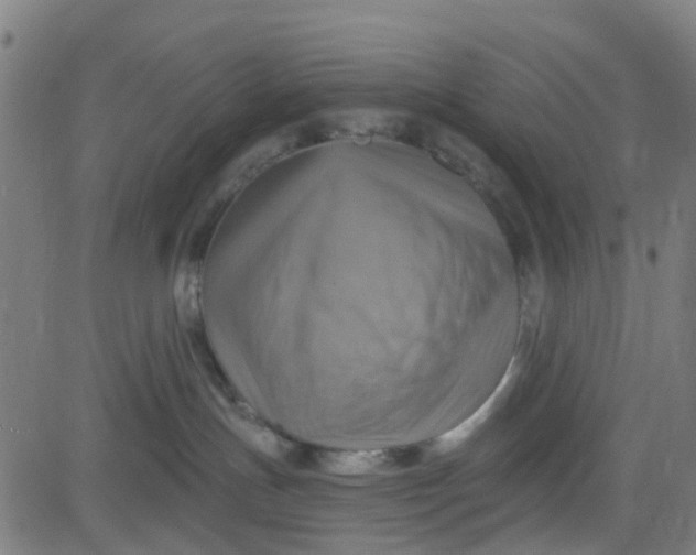 X0000084600191200703091938