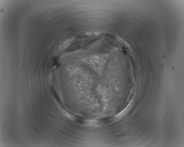 X0000084600192200703091938