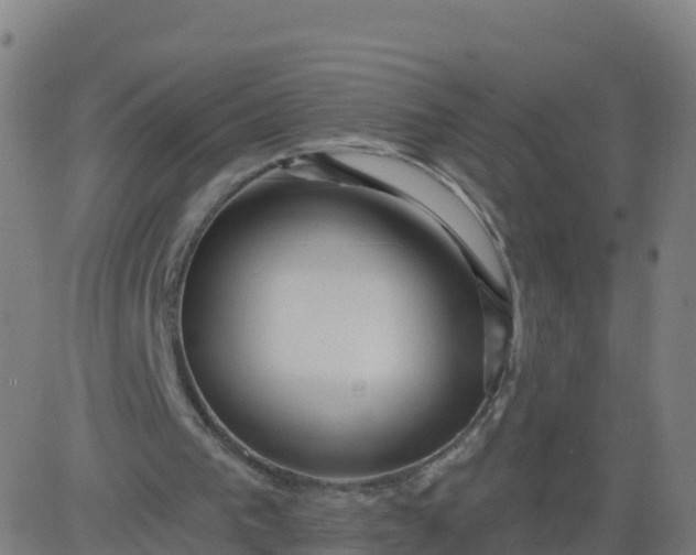 X0000084600193200703091937