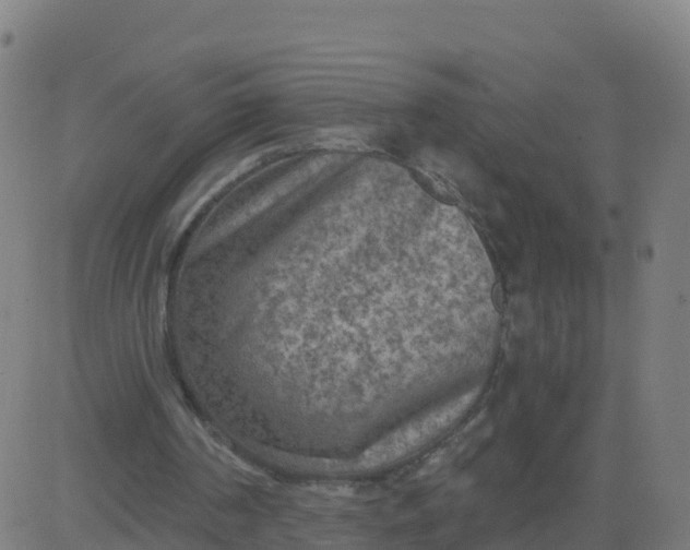 X0000084600194200703091937