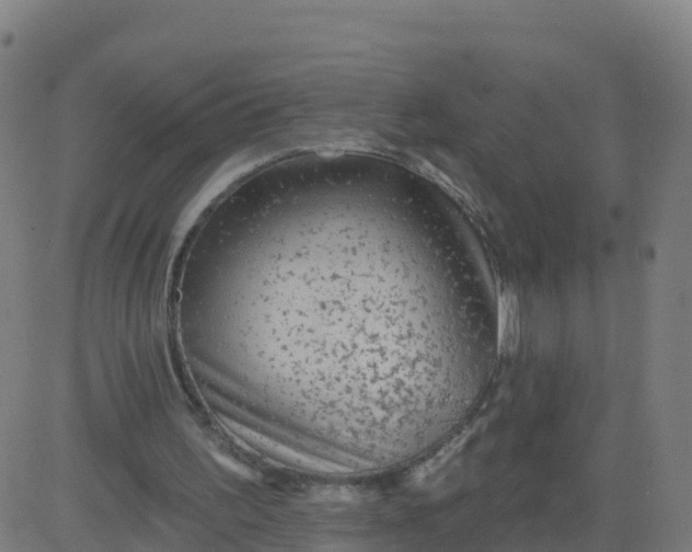 X0000084600195200703091937