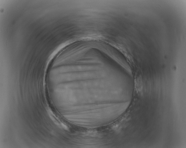 X0000084600196200703091937