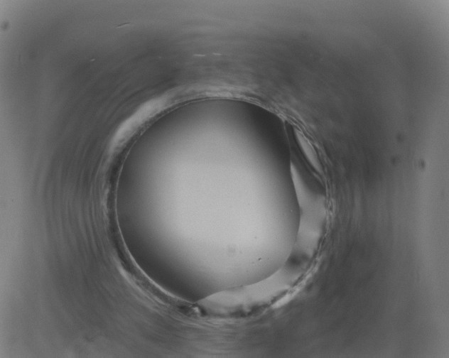 X0000084600197200703091937