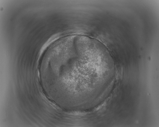 X0000084600198200703091937