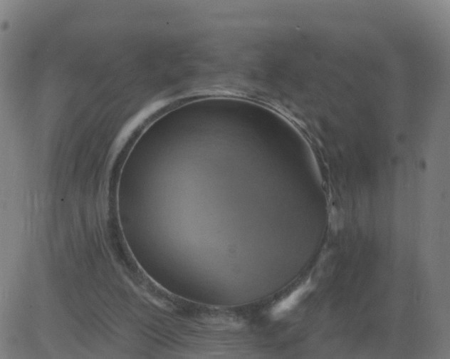 X0000084600200200703091937