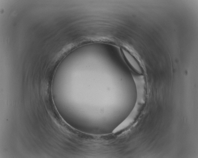 X0000084600201200703091937