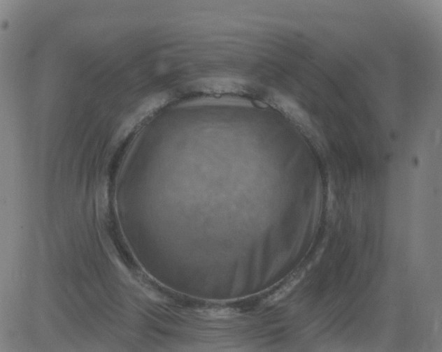 X0000084600202200703091937