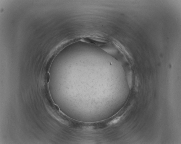 X0000084600203200703091937