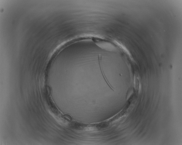 X0000084600204200703091937