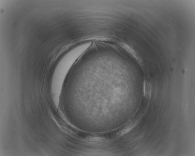 X0000084600205200703091937