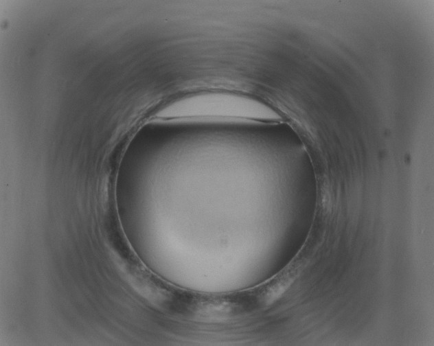 X0000084600206200703091937