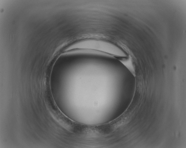 X0000084600207200703091937