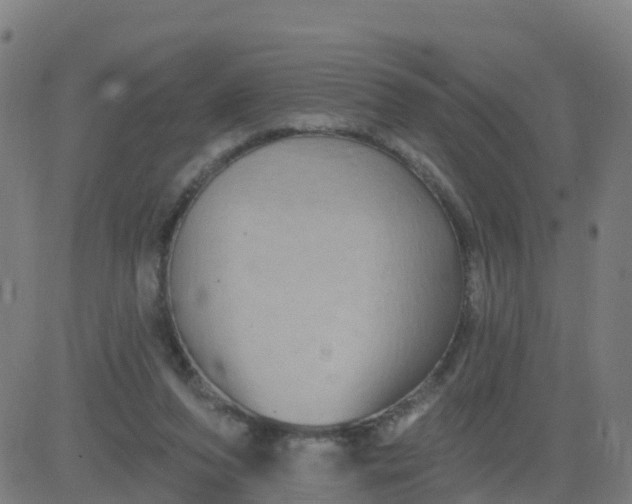 X0000084600208200703091937