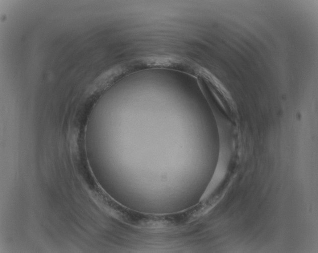 X0000084600209200703091937