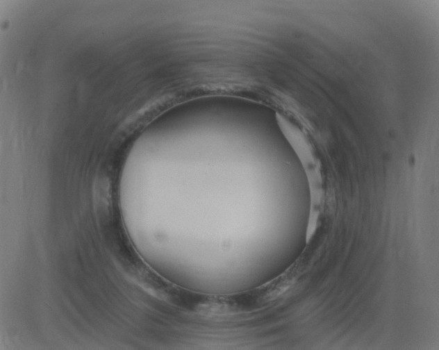 X0000084600211200703091937