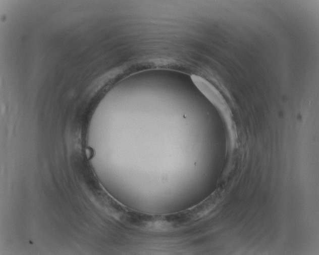 X0000084600212200703091937