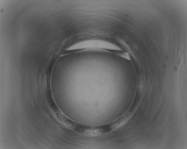 X0000084600213200703091937