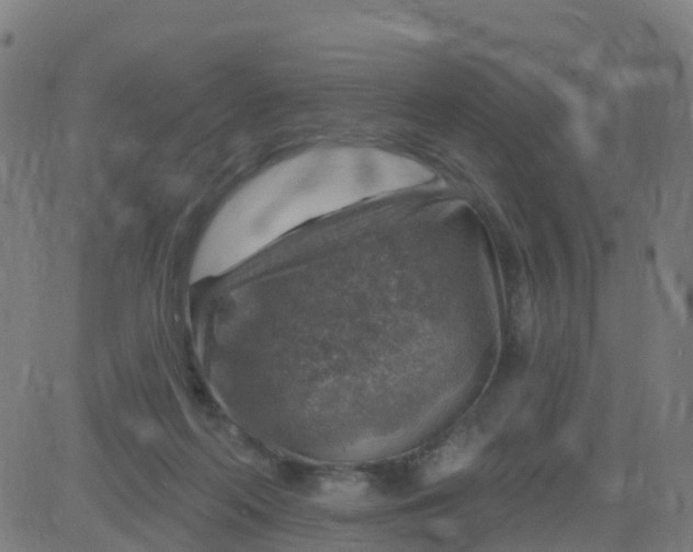 X0000084600214200703091937