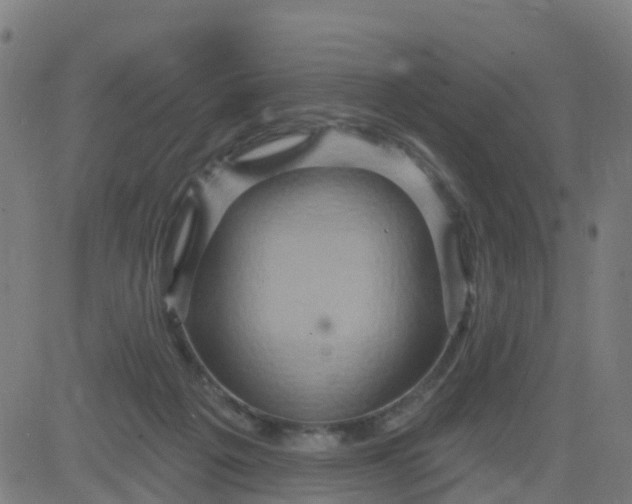 X0000084600217200703091937