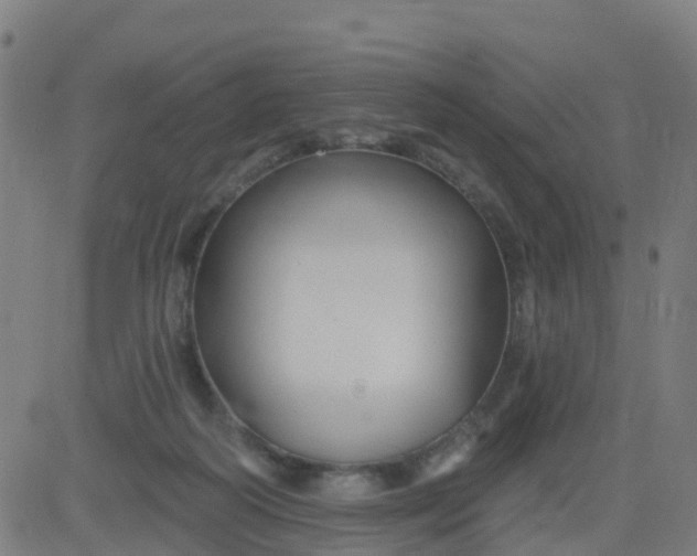 X0000084600218200703091937