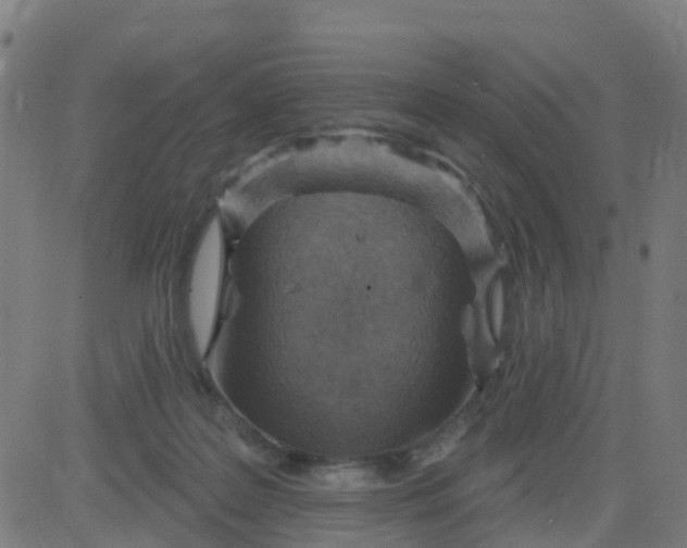 X0000084600219200703091937