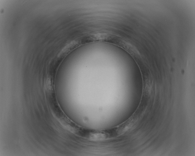 X0000084600220200703091937