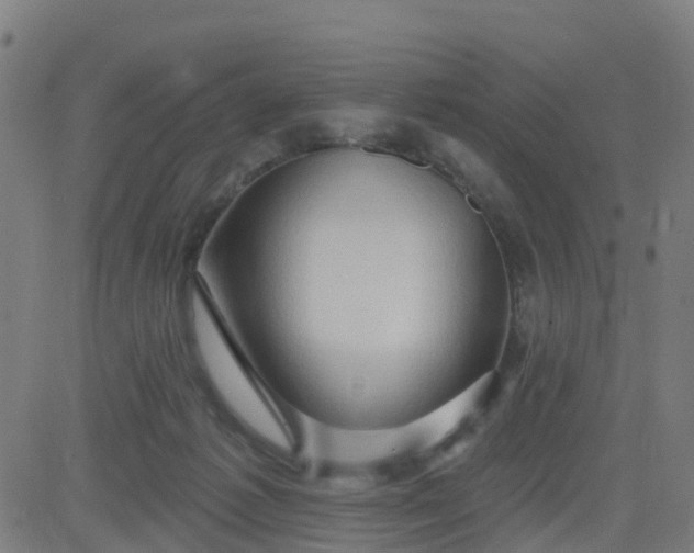 X0000084600221200703091937