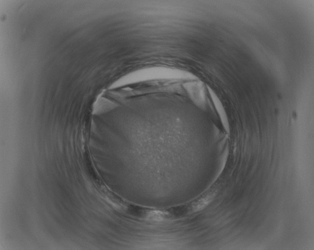 X0000084600222200703091937