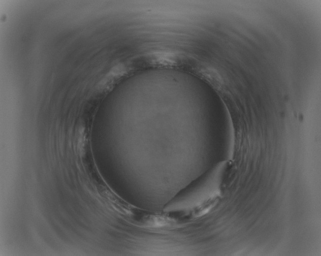 X0000084600223200703091937