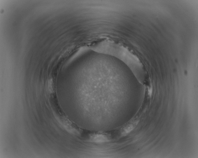 X0000084600224200703091937