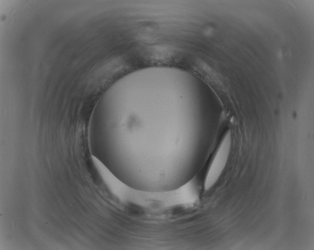 X0000084600225200703091937