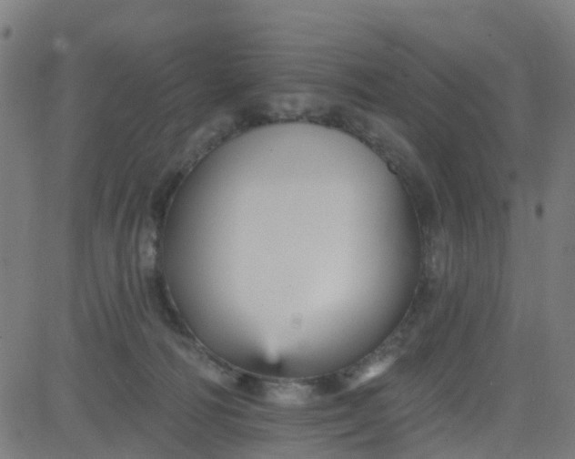 X0000084600226200703091937