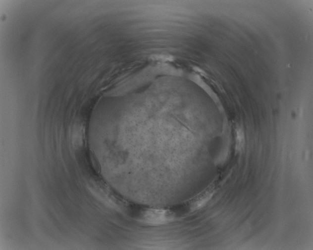 X0000084600227200703091937