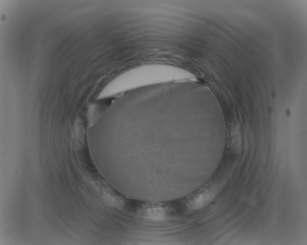 X0000084600228200703091937