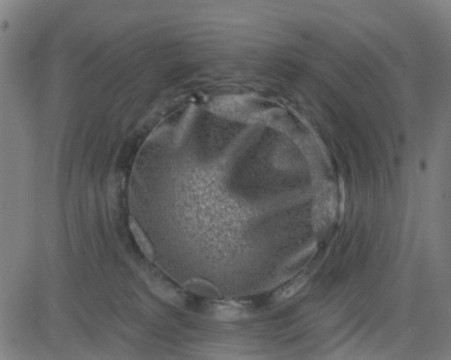 X0000084600229200703091937