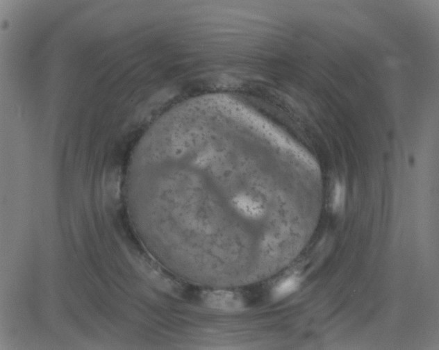 X0000084600230200703091937